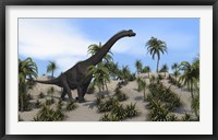 Framed Large Brachiosaurus in a Tropical Environment