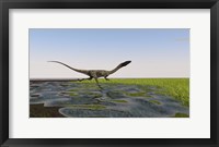 Framed Coelophysis Running