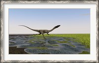 Framed Coelophysis Running