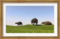 Framed Eurohippus Grazing