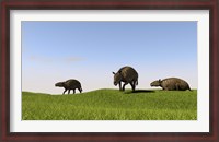 Framed Eurohippus Grazing