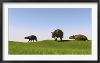 Framed Eurohippus Grazing