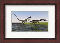 Framed Group of Coelophysis Dinosaurs