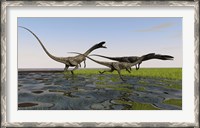 Framed Group of Coelophysis Dinosaurs