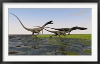 Framed Group of Coelophysis Dinosaurs