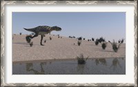 Framed Aucasaurus