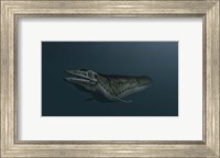 Framed Mosasaur Swimming