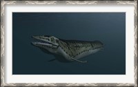 Framed Mosasaur Swimming