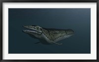 Framed Mosasaur Swimming