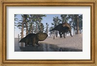 Framed Udanoceratops and Shuangmiaosaurus