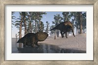 Framed Udanoceratops and Shuangmiaosaurus