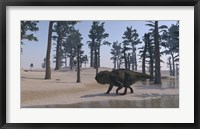 Framed Udanoceratops Walking Along Water