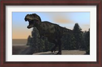 Framed Fierce Tyrannosaurus Rex