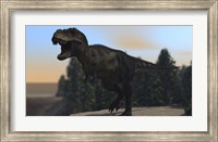 Framed Fierce Tyrannosaurus Rex