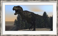 Framed Fierce Tyrannosaurus Rex