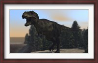 Framed Fierce Tyrannosaurus Rex