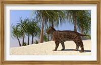 Framed Saber-Tooth Tiger