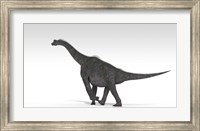 Framed Brachiosaurus Dinosaur