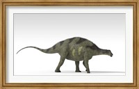 Framed Brachytrachelopan Dinosaur