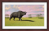 Framed Brontotherium Grazing