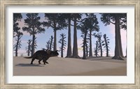 Framed Brown Einiosaurus Roaming