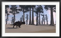 Framed Brown Einiosaurus Roaming