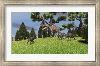 Framed Ceratosaurus Chasing Gigantoraptors