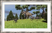 Framed Ceratosaurus Chasing Gigantoraptors