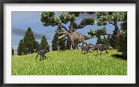 Ceratosaurus Chasing Gigantoraptors Framed Print