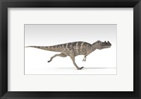 Framed Ceratosaurus Dinosaur