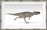 Framed Ceratosaurus Dinosaur