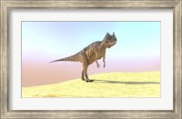 Framed Ceratosaurus Hunting in a Desert