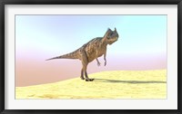 Framed Ceratosaurus Hunting in a Desert