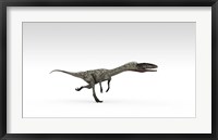 Framed Coelophysis Dinosaur