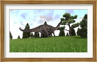 Framed Dicraeosaurus