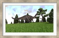 Framed Dicraeosaurus