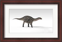 Framed Dicraeosaurus Dinosaur