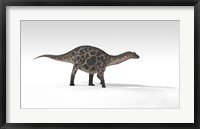 Framed Dicraeosaurus Dinosaur