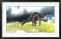 Framed Dicraeosaurus Grazing