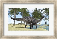 Framed Dicraeosaurus in Shallow Water