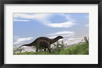 Framed Dicraeosaurus Walking