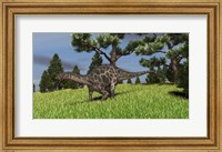 Framed Dicraeosaurus Walking in a Field