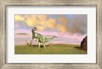 Framed Dilophosaurus Hunting in an Open Field