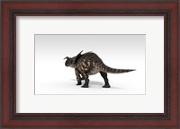 Framed Einiosaurus Dinosaur