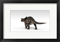 Framed Einiosaurus Dinosaur