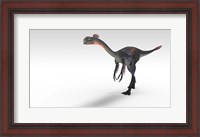 Framed Gigantoraptor Dinosaur
