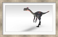 Framed Gigantoraptor Dinosaur
