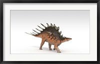 Framed Kentrosaurus Dinosaur