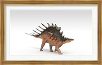 Framed Kentrosaurus Dinosaur