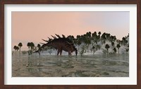 Framed Kentrosaurus Drinking